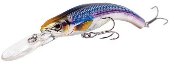 LIVETARGET Rainbow Smelt Banana Bait Shallow Dive 3 5/8" Gold/Black - RSB91S 208 Gold/Black