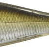 LIVETARGET Skip Shad - 3-1/2in - Silver/Brown