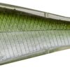 LIVETARGET Skip Shad - 3-1/2in - Silver/Green