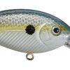 Livingston Lures 3103 Tournament Series Deep Impact 6 Crankbait