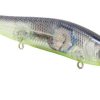 Livingston Lures 3415 Tournament Series Jerkmaster 121 Jerkbait