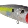 Livingston Lures 5302 Tournament Walk N Pop 67-1 Topwater Popper