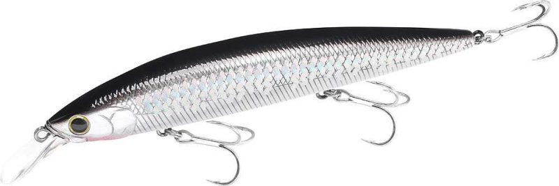 Lucky Craft Surf Pointer Lure - MS Anchovy - SW-SFPT115MR-765MSACY