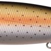 Megabass Megadog - Mat Rainbow