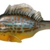 Megabass Sleeper Gill Swimbait - 3.2in - 3/4oz - Pumpkin Seed