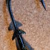 Mission Fishin Double Barbed 1/4oz 3/0 Black/Gold Jig Heads