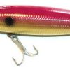 Northbar Tackle Jr. Bottle Darter Lure - Purple/Gold