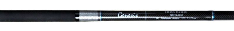 ODM 2021 Genesis Surf Spinning Rod - NXGX-116