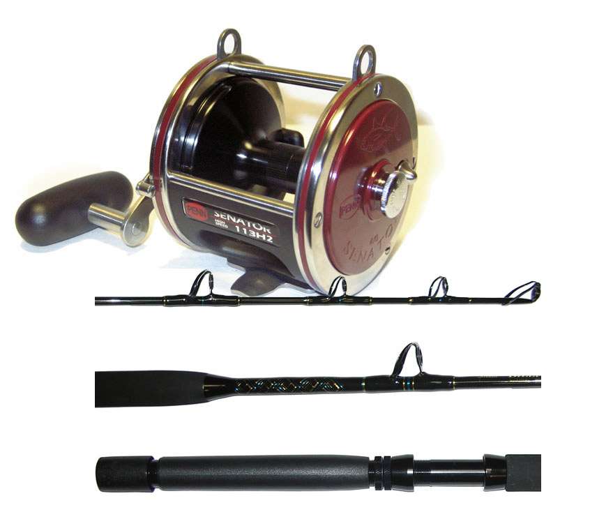 Penn 113H2 Senator Reel / Billfisher SSU3080C Stand-up Rod Combo