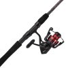 Penn FRCIII3000701L Fierce III Spinning Combo