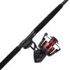 Penn Fierce III Spinning Combo - FRCIII8000102H