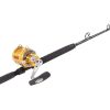 Penn International 30VISX / TackleDirect Platinum Hook Standup Combo