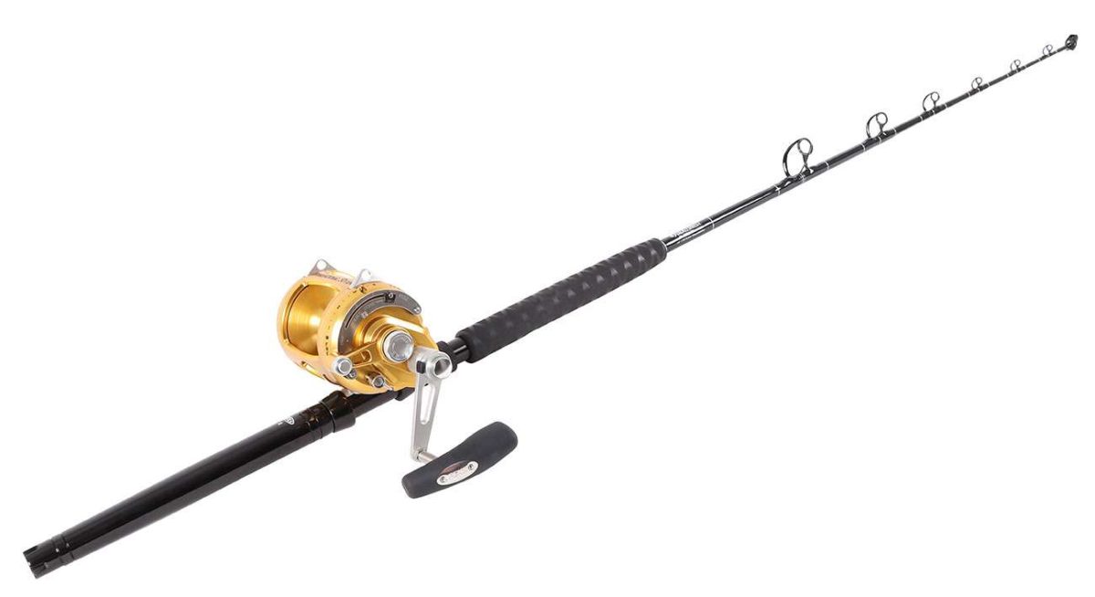 Penn International 50VISW / TackleDirect Platinum Hook Standup Combo