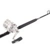 Penn International 50VISWS / TackleDirect Platinum Hook Standup Combo