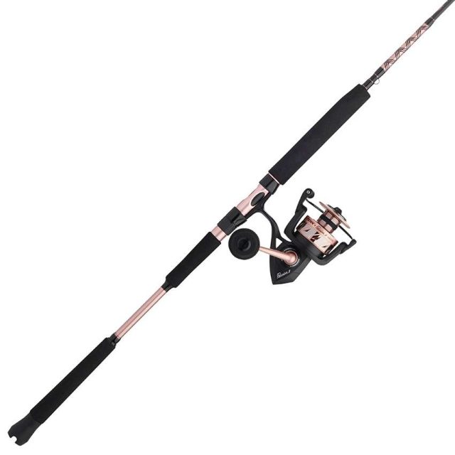 Penn Passion II Spinning Combo - PASII6000661MH