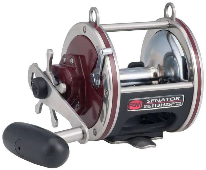 Penn Special Senator Reel - 113H2SP