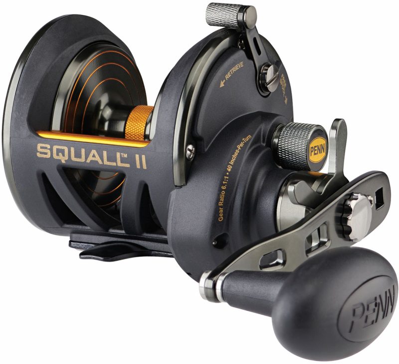 Penn Squall II Star Drag Reel - SQLII25NSDLH