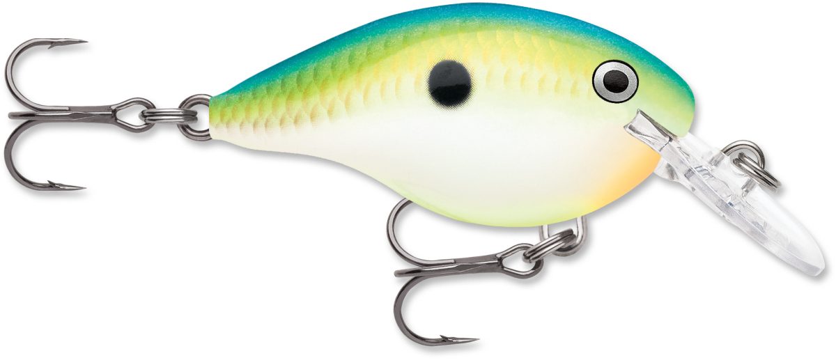 Rapala Dives To Crankbait Lure - DT04 CTSD Citrus Shad