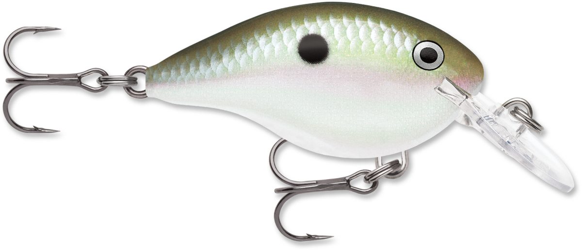 Rapala Dives To Crankbait Lure - DT04 GGSD Green Gizzard Shad