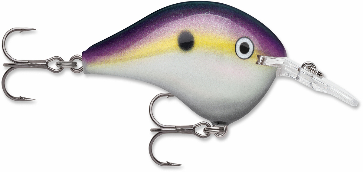 Rapala Dives To Crankbait Lure - DT06 BGSD Big Shad