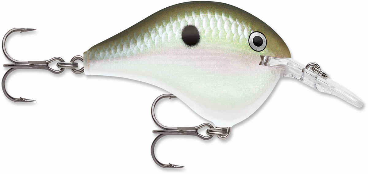 Rapala Dives To Crankbait Lure - DT06 GGSD Green Gizzard Shad