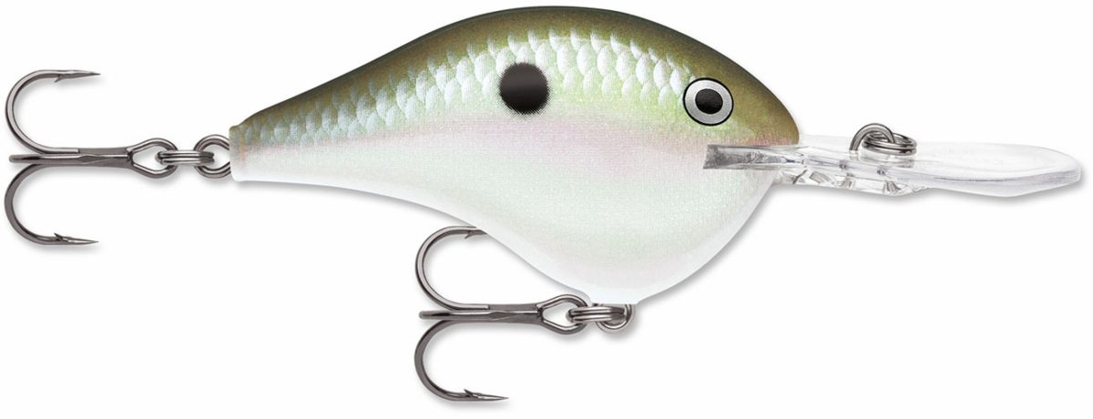 Rapala Dives To Crankbait Lure - DT14 GGSD Green Gizzard Shad