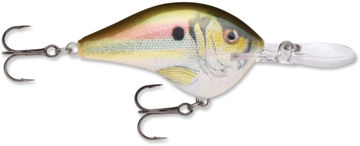 Rapala Dives To Crankbait Lures - DT04 RSL Live River Shad