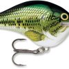 Rapala Dives To Crankbait Lures - DT06 Baby Bass BB