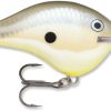 Rapala Dives To Crankbait Lures - DT06 Disco Shad DSSD