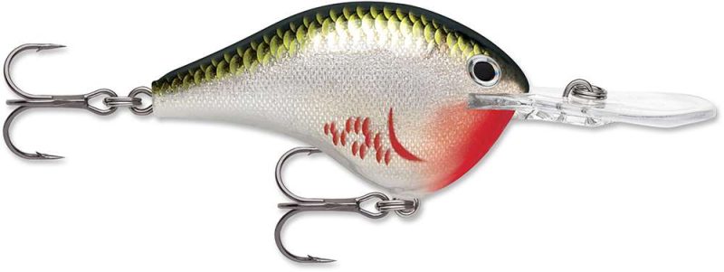 Rapala Dives-To Crankbait Lures DT08 - Bleeding Olive Shiner