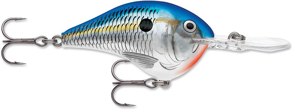 Rapala Dives-To Crankbait Lures DT08 - Blue Shad