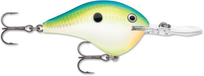 Rapala Dives-To Crankbait Lures DT08 - Citrus Shad