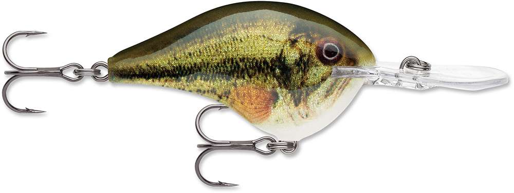 Rapala Dives-To Crankbait Lures DT08 - Live Largemouth Bass