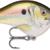 Rapala Dives-To Crankbait Lures DT08 - Live River Shad