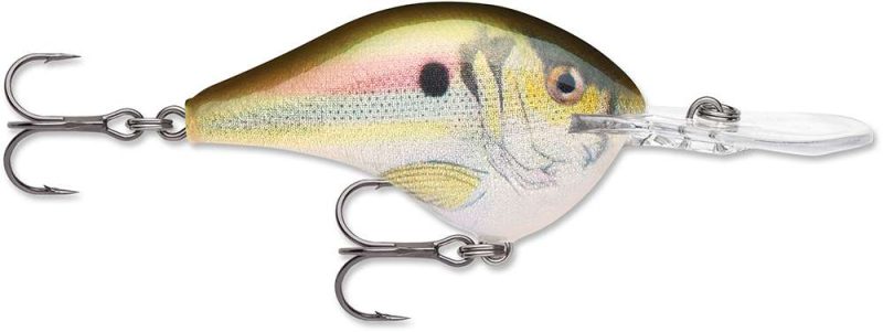 Rapala Dives-To Crankbait Lures DT08 - Live River Shad