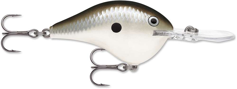 Rapala Dives-To Crankbait Lures DT08 - Pearl Grey Shiner