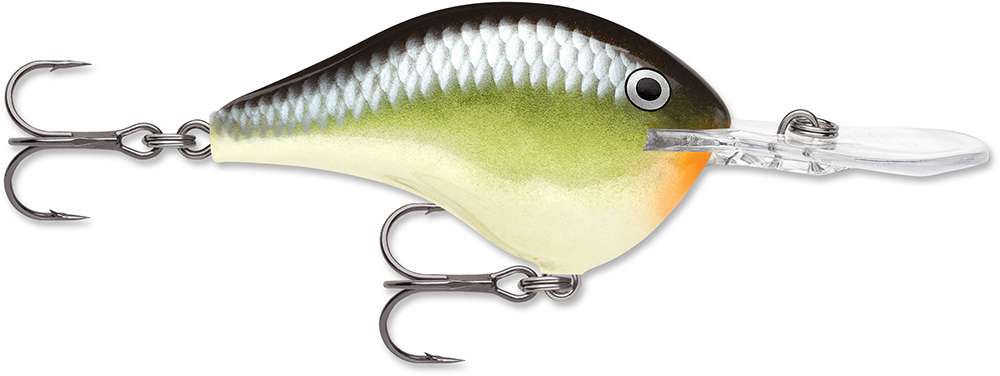 Rapala Dives-To Crankbait Lures DT08 - Smash