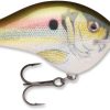 Rapala Dives To Crankbait Lures - DT16 RSL Live River Shad