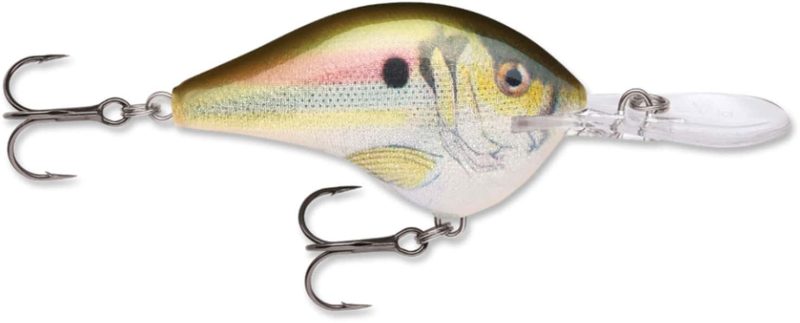 Rapala Dives To Crankbait Lures - DT16 RSL Live River Shad