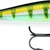 Rapala RipStop 09 Jerkbait - Yellow Perch - RPS09YP