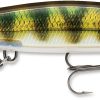 Rapala SDR11 Shadow Rap Lure - Live Perch