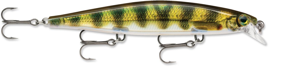 Rapala SDR11 Shadow Rap Lure - Live Perch