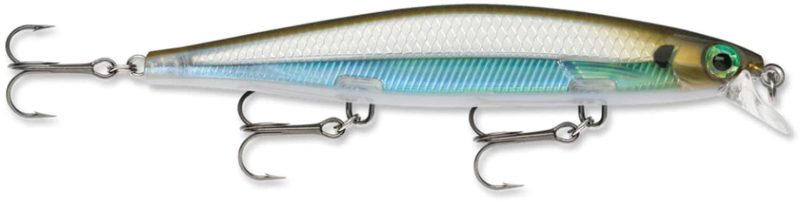 Rapala SDR11 Shadow Rap Lure Moss Back Shiner - SDR11 Moss Back Shiner