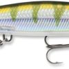 Rapala SDRD11 Shadow Rap Deep Lure Yellow Perch - SDRD11 Yellow Perch