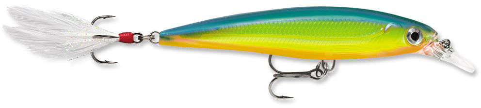 Rapala X-Rap 08 - Parrot