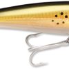 Rapala X-Rap Saltwater 10 - Bunker - SXR10BNK