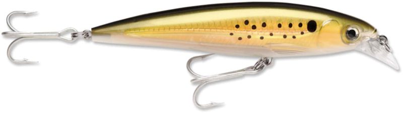 Rapala X-Rap Saltwater 10 - Bunker - SXR10BNK