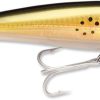 Rapala X-Rap Saltwater 12 - Bunker - SXR12BNK