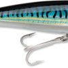 Rapala X-Rap Saltwater 12 - Silver Blue Mackerel - SXR12SBM