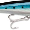 Rapala X-Rap Saltwater 14 - Blue Sardine